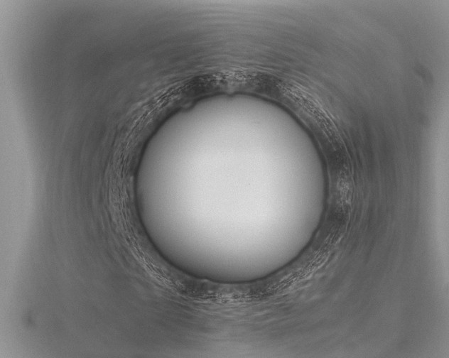 X0000116460865200912091246