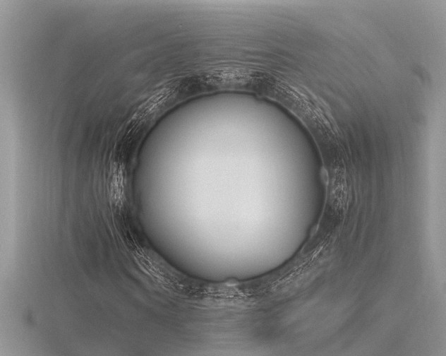 X0000116460866200912091246