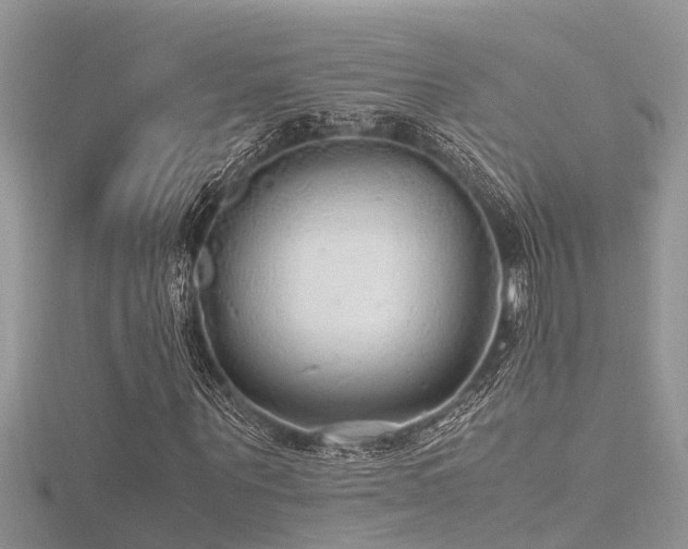 X0000116460867200912091246