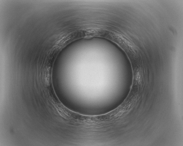 X0000116460868200912091246