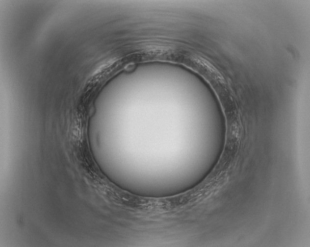 X0000116460869200912091246