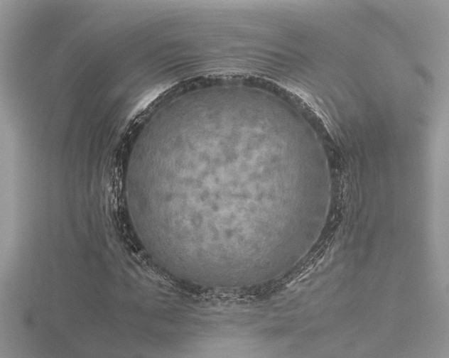 X0000116460871200912091246