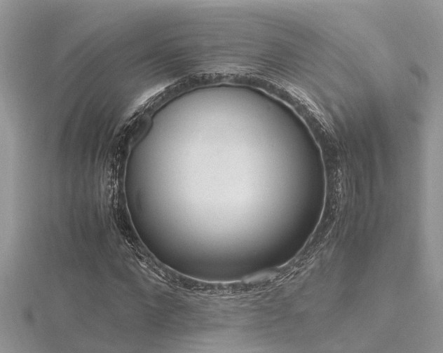 X0000116460872200912091246