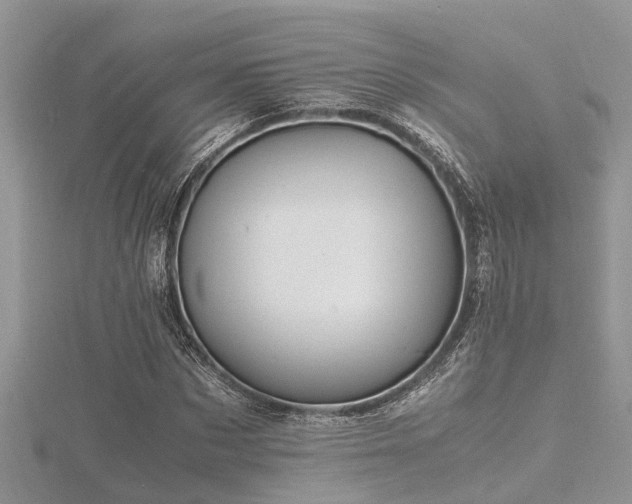 X0000116460873200912091246