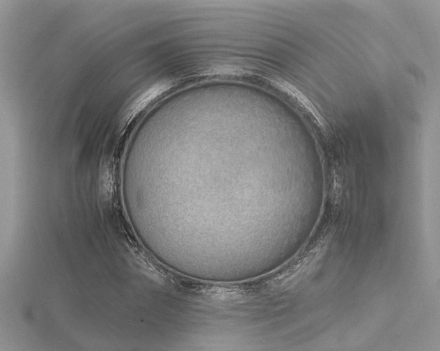 X0000116460874200912091246