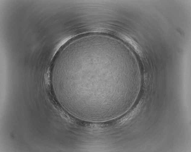 X0000116460875200912091246