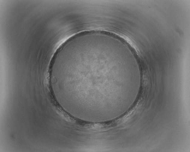 X0000116460879200912091246