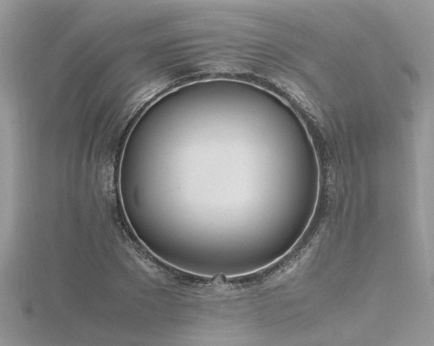 X0000116460881200912091246