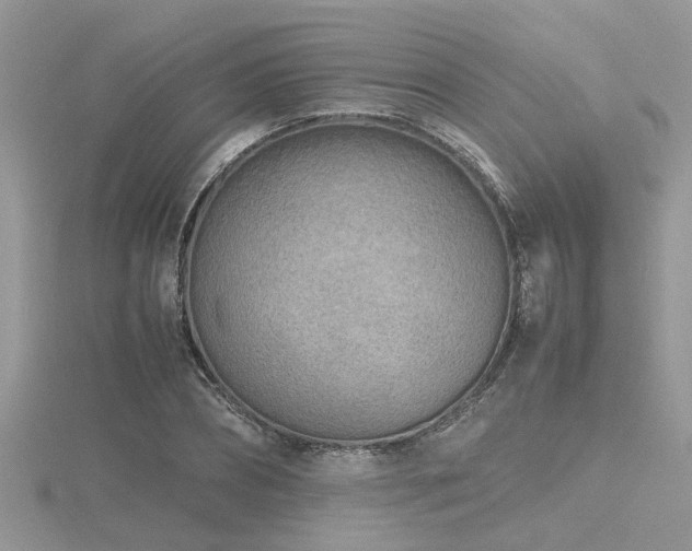 X0000116460882200912091246