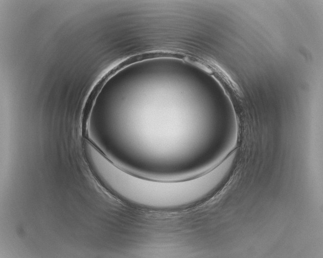 X0000116460884200912091246