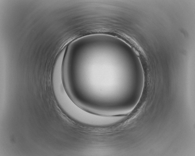 X0000116460889200912091246