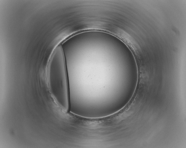 X0000116460892200912091246