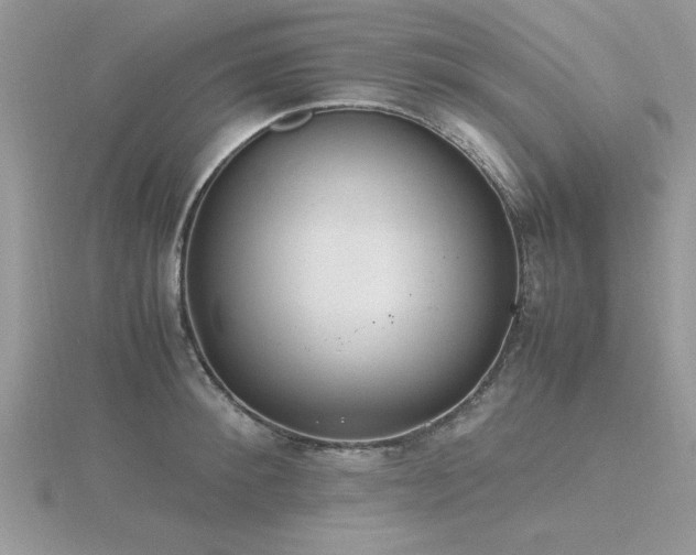 X0000116460900200912091246
