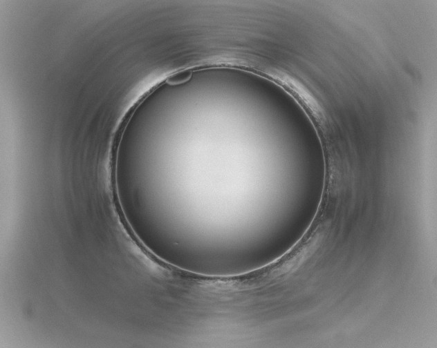 X0000116460902200912091246