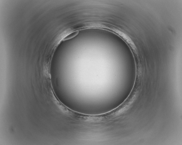 X0000116460905200912091246