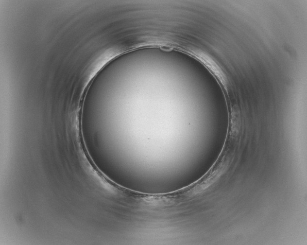 X0000116460906200912091246