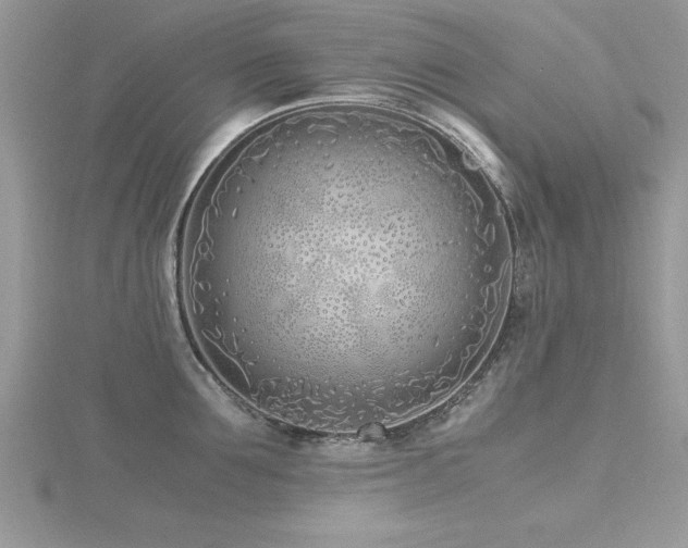 X0000116460907200912091246