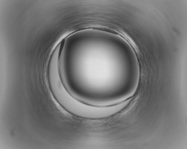 X0000116460909200912091246