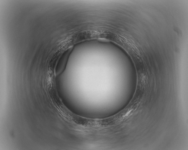 X0000116460914200912091245