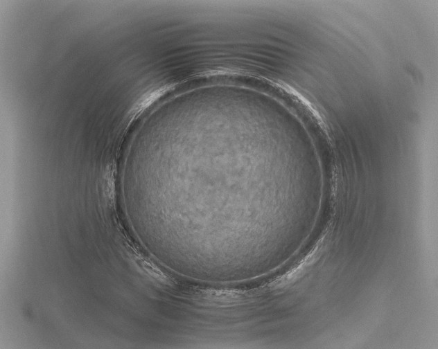 X0000116460921200912091245