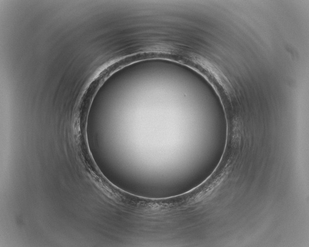 X0000116460923200912091245