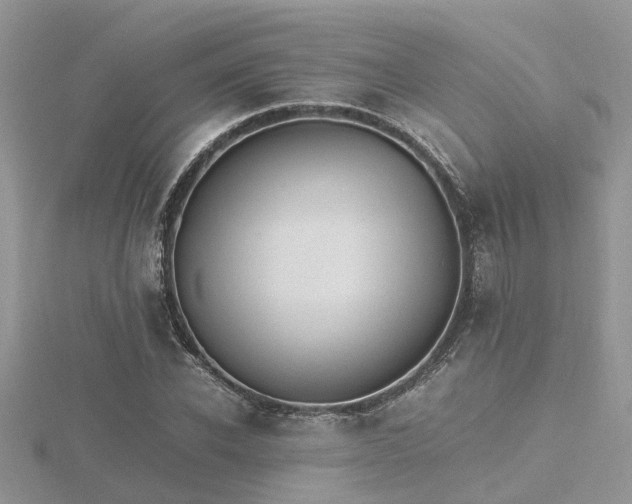X0000116460926200912091245