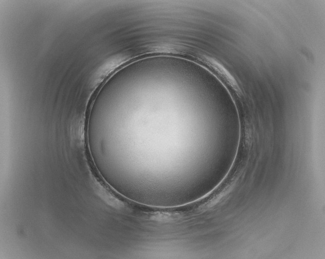 X0000116460938200912091245