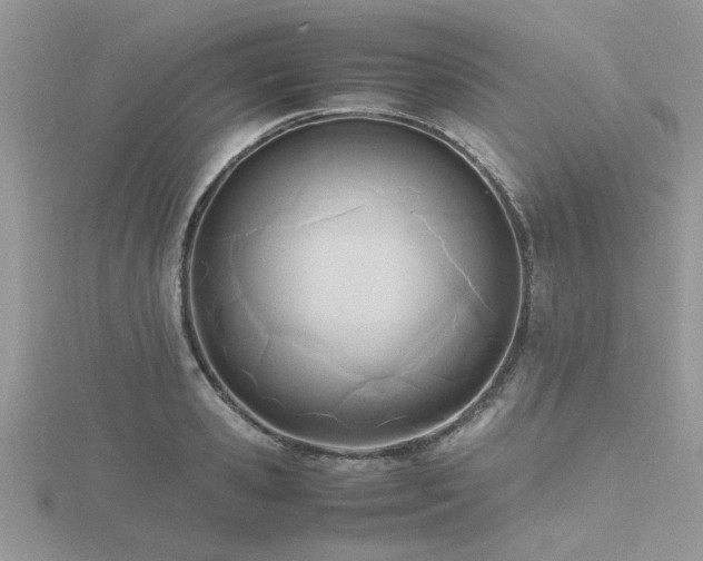 X0000116460941200912091245