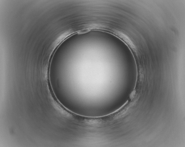 X0000116460946200912091246