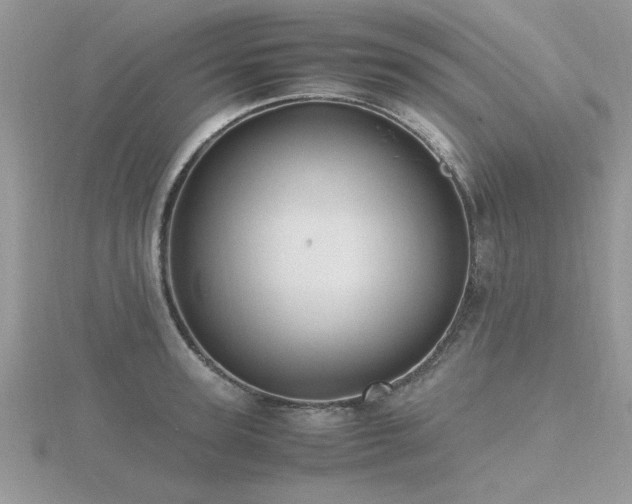 X0000116460947200912091246