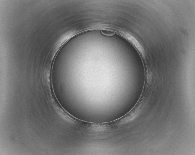 X0000116460954200912091246