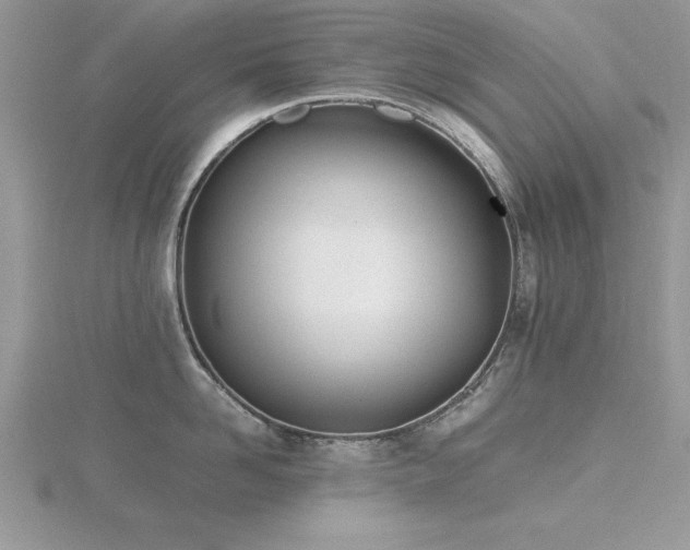 X0000116460958200912091246