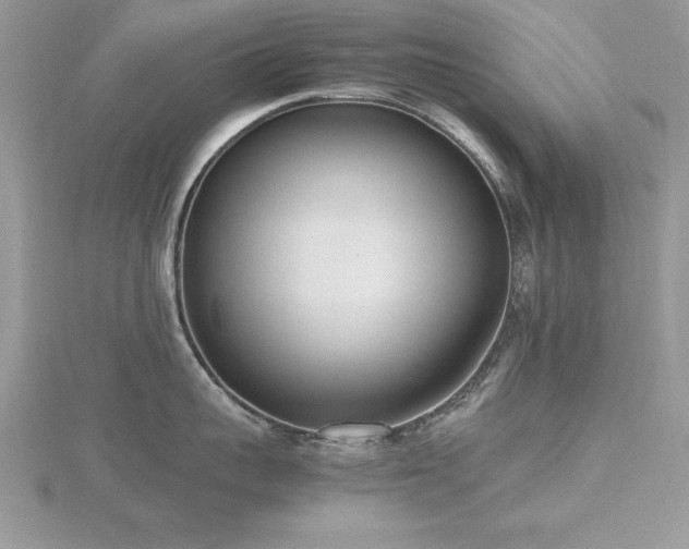 X0000116460959200912091246