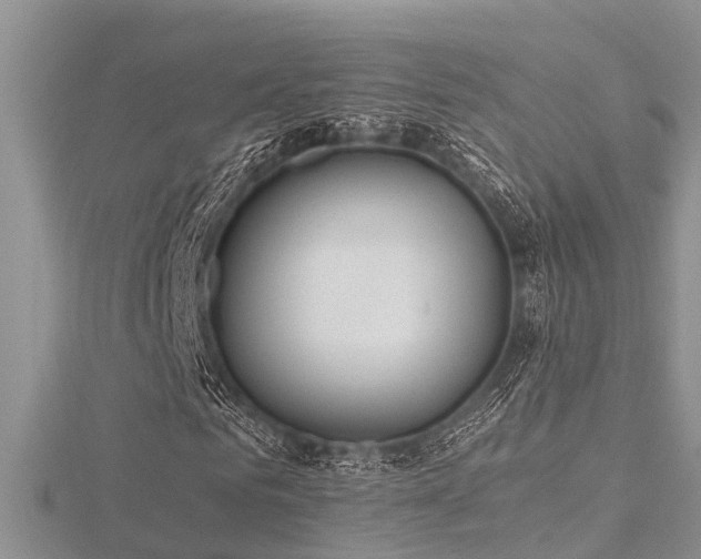 X0000116460961200912091245