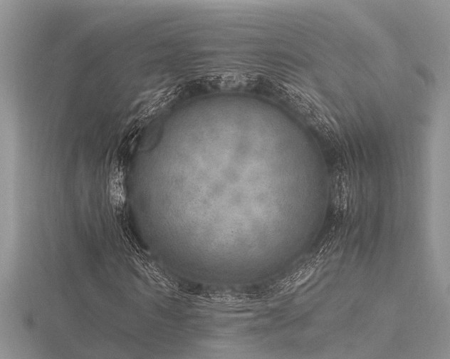 X0000116460962200912091245