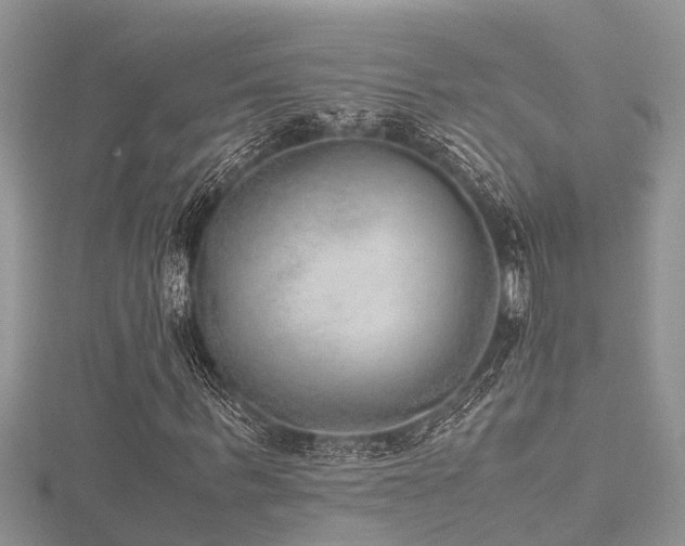 X0000116460963200912091245