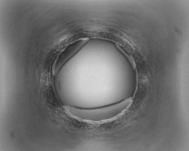 X0000116460965200912091245