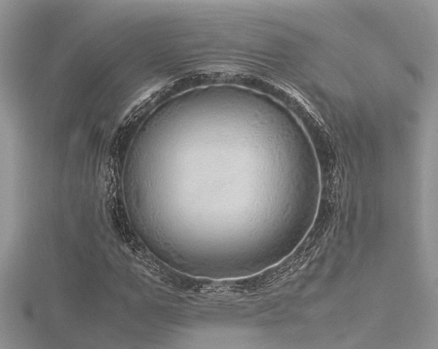 X0000116460967200912091245