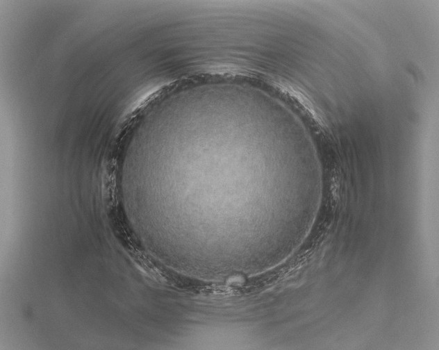 X0000116460968200912091245