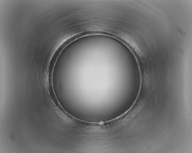 X0000116460976200912091245