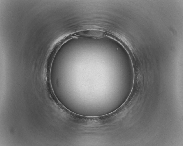 X0000116460979200912091245