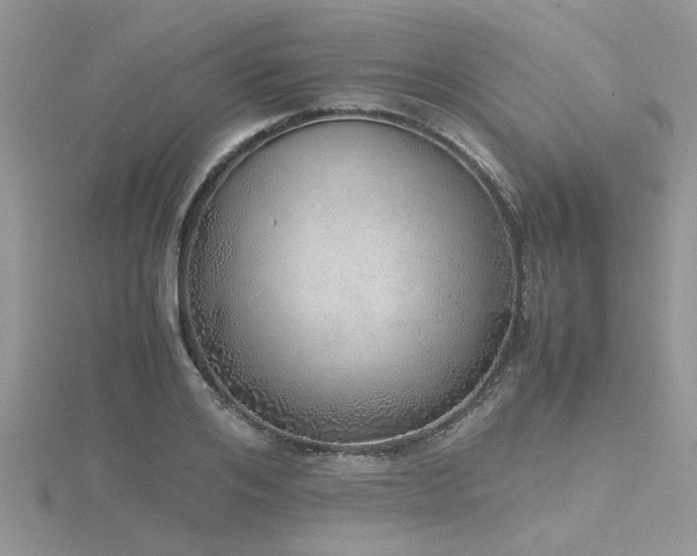 X0000116460984200912091245