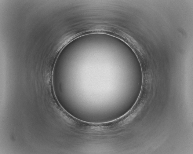 X0000116460985200912091245