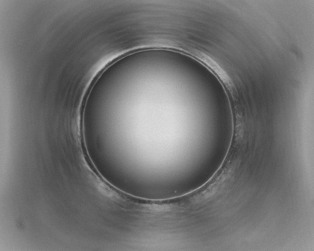 X0000116460996200912091245