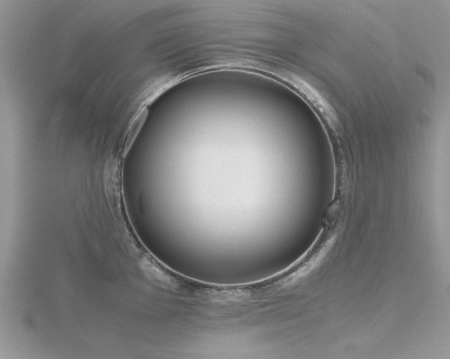X0000116461001200912091245