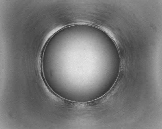 X0000116461003200912091245