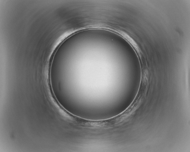 X0000116461005200912091245