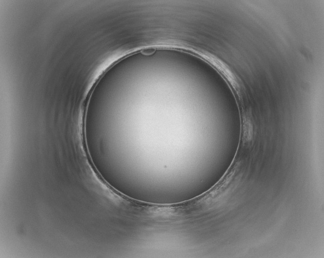 X0000116461006200912091245