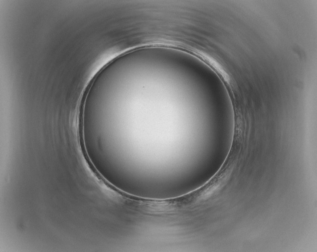 X0000116461007200912091244
