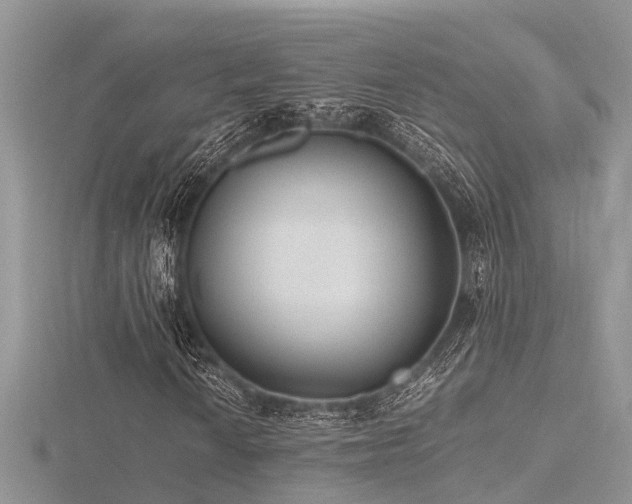 X0000116461010200912091244